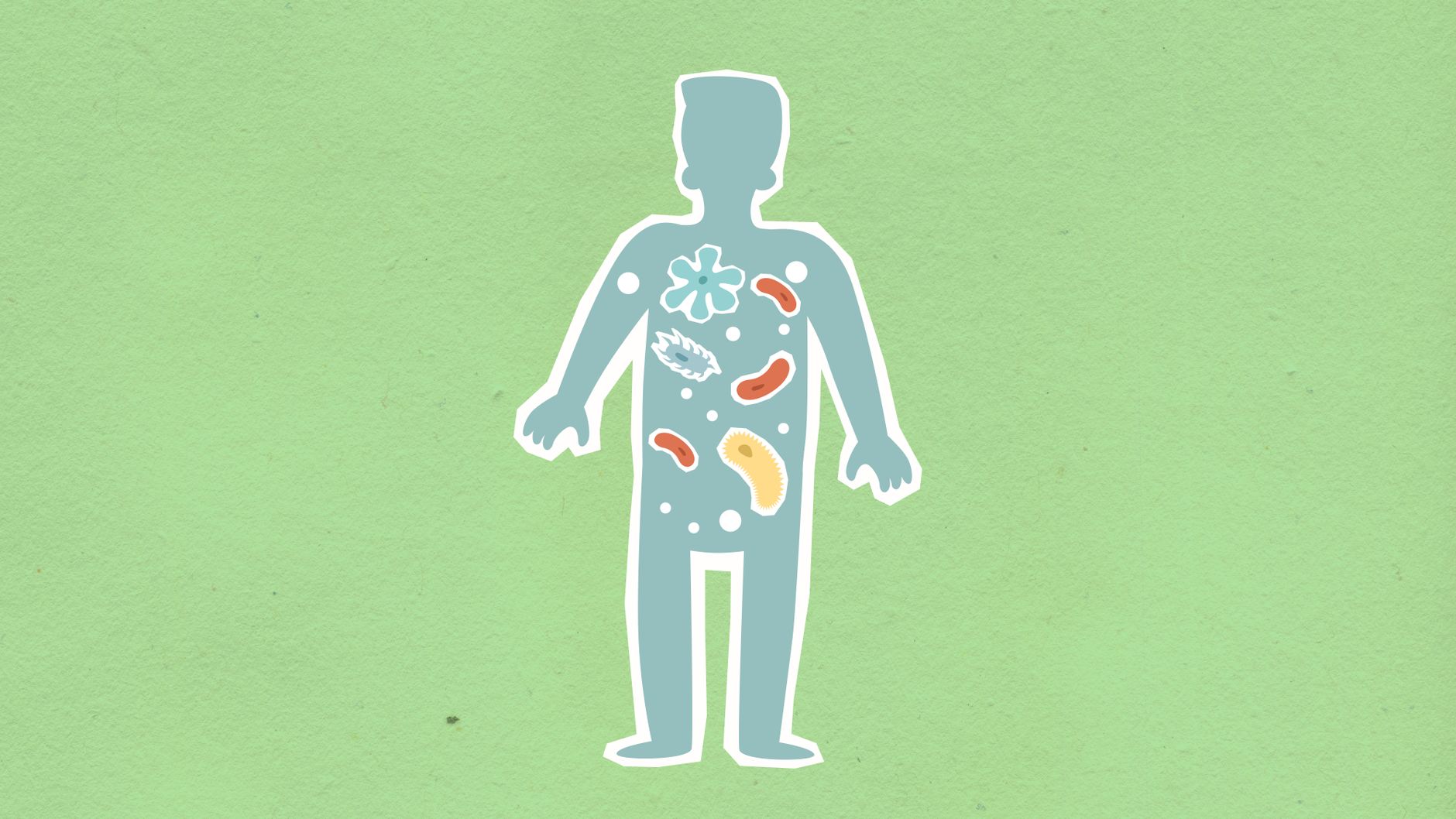 Colourful cardboard illustration of the human gut microbiome showing beneficial and harmful bacteria inside the body — representing gut health for beginners