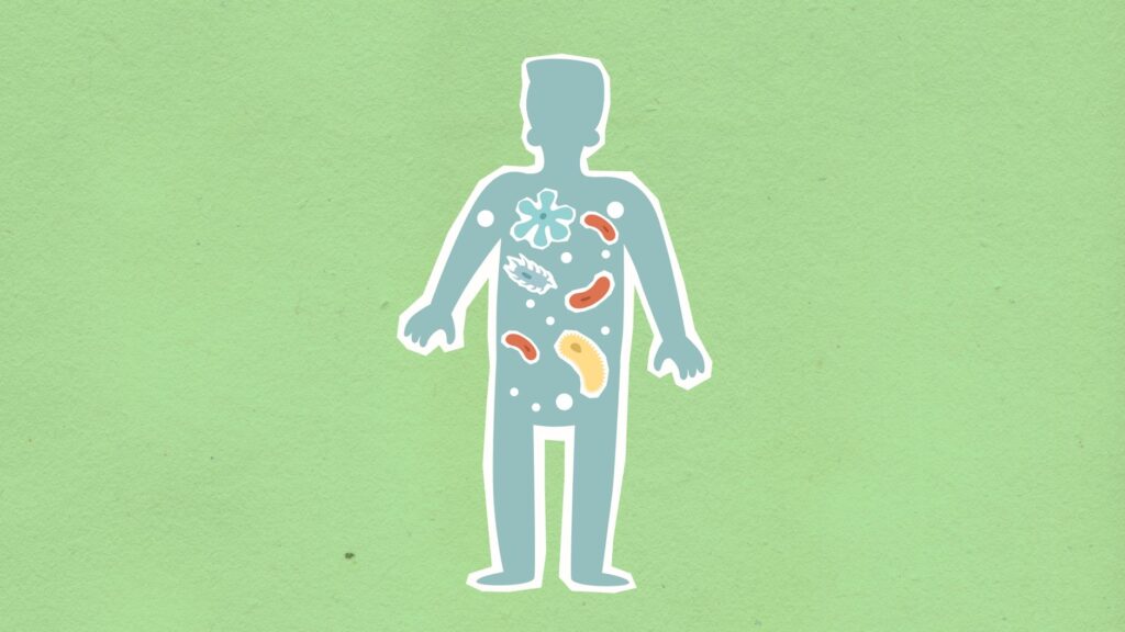 Cardboard illustration of a human body silhouette with colorful gut bacteria microbes, representing the gut microbiome and how probiotics support digestive health